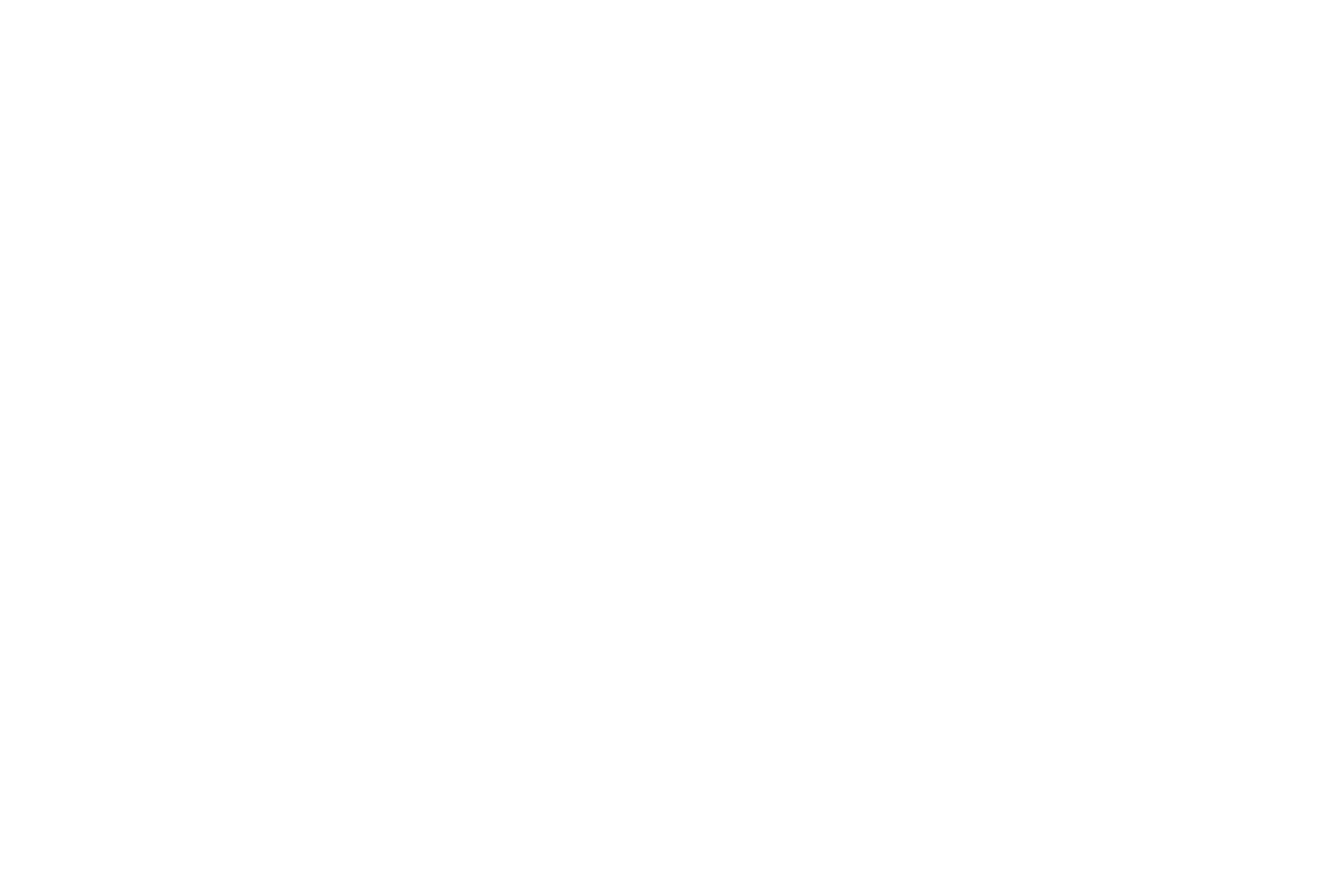 Zeta Academy